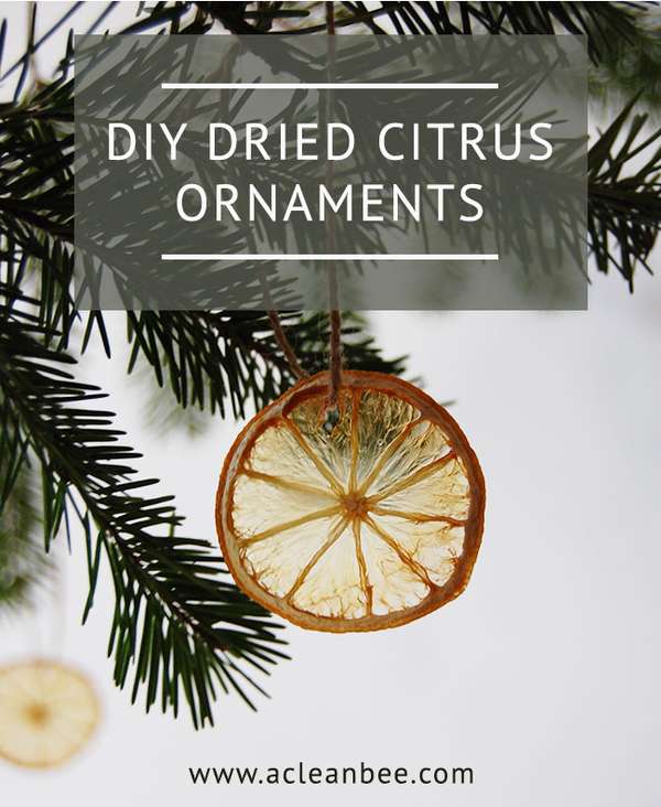 Dried Citrus DIY Christmas Ornaments