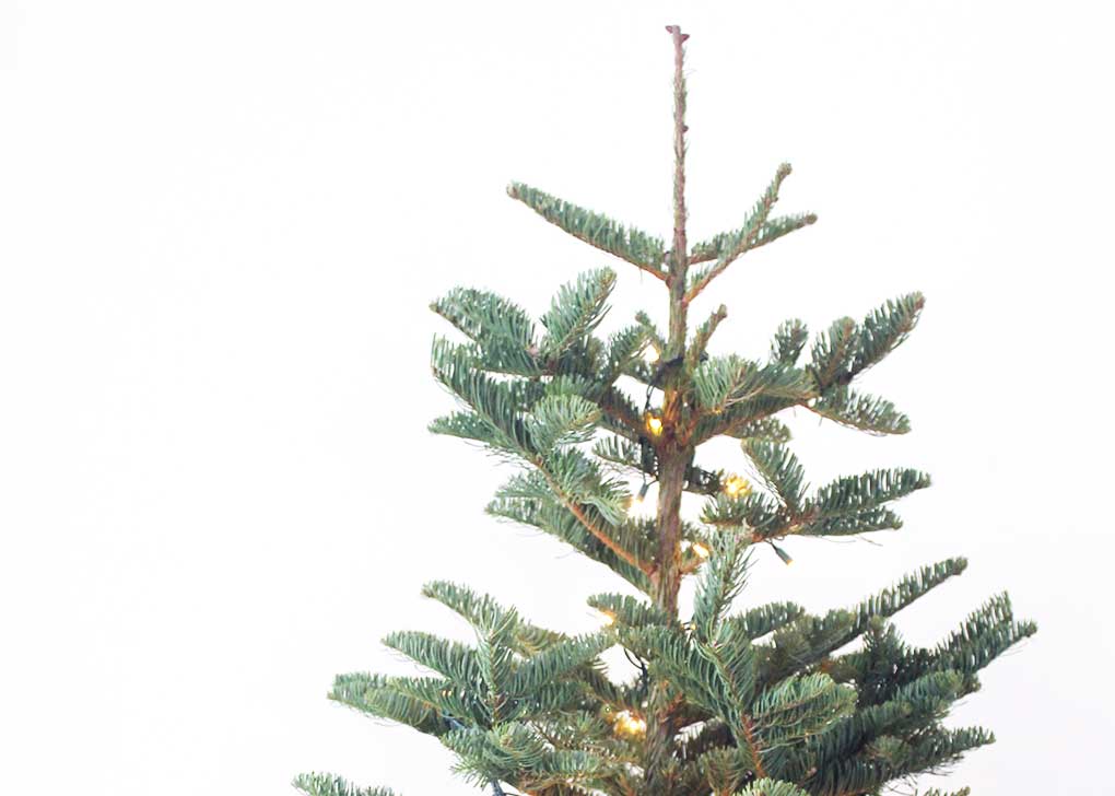 Minimalist Christmas Tree with Natural Christmas Ornaments