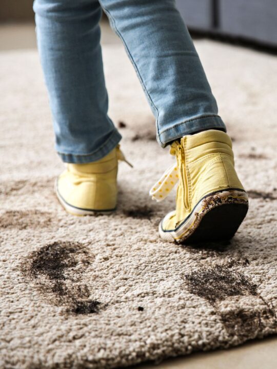 How to get mud out of carpet