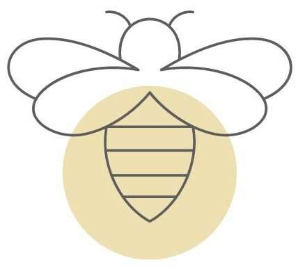 A Clean Bee